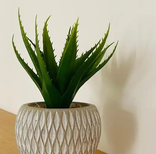 Le Bout Du Monde Hyper-centre Apartament Carcassonne